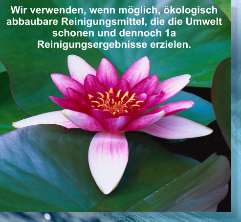 Wir verwenden, wenn mglich, kologisch abbaubare Reinigungsmittel, die die Umwelt schonen und dennoch 1a Reinigungsergebnisse erzielen.